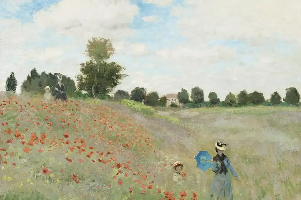 Poppy Fields